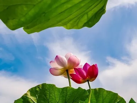 4 dấu hiệu cho thấy một gia đình sắp 'đổi vận': Nắm bắt đúng lúc, phúc khí tự đến