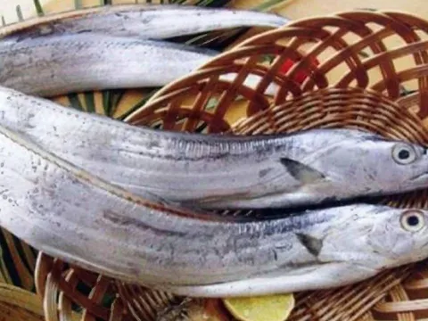 Đi chợ gặp 5 loại cá này đừng tiếc tiền mua, vừa ngon vừa bổ lại đánh bắt tự nhiên 100%