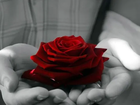 Người tốt với cha mẹ thì có thể tốt với thiên hạ, người tốt với thiên hạ chưa chắc tốt với cha mẹ