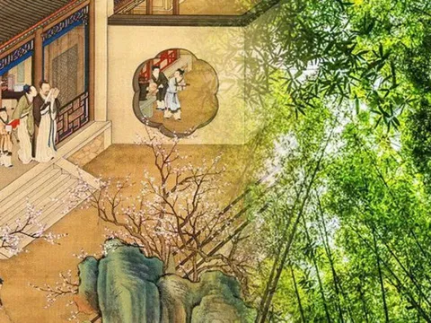 Ông bà dặn: 3 cây này dù nghèo đến mấy cũng đừng chặt, giữ cây là giữ lộc, con cháu được bảo vệ