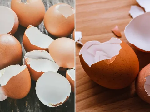 Vỏ trứng đừng đem bỏ, giữ lại có 4 lợi ích tuyệt vời, nhà nào cũng cần