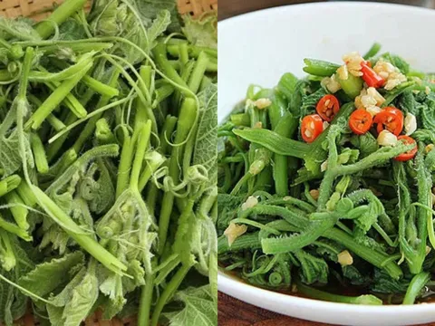 Rau bí – “thuốc bổ gan” dân dã, giàu sắt hơn cả thịt bò