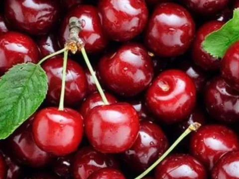 4 loại trái cây cực tốt cho kỳ kinh nguyệt: Giúp bổ máu, giải độc, chống lão hóa và làm sạch tử cung