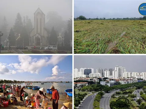 MeteoViet: Nỗ lực đưa dự báo thời tiết chi tiết đến cấp địa phương bằng AI và dữ liệu chính thống.