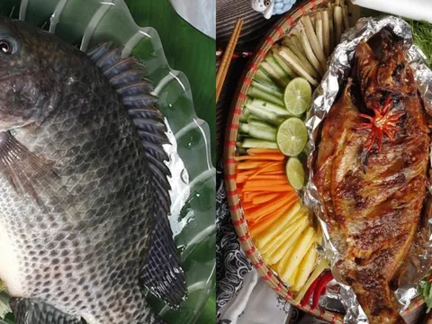 Cá rô phi – “gà nước” bình dân mà bổ xương khớp chẳng thua gì thuốc