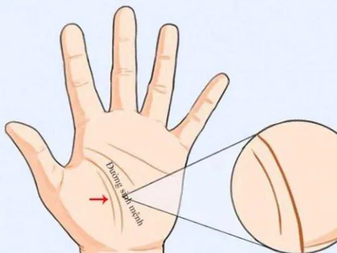 Giải mã 3 đường chỉ tay liên quan đến vận mệnh mỗi người