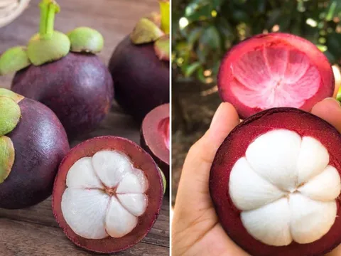 Mẹo chọn măng cụt ngon: Nhìn vào điểm này biết quả nào nhiều múi, căng mọng, vỏ mỏng