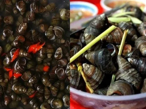 Mẹo ngâm ốc nhanh nhả sạch nhớt, bẩn, không tanh
