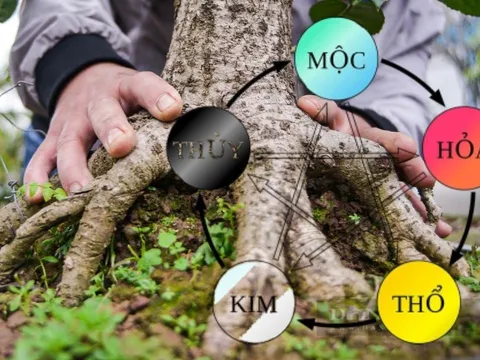 Người giàu thích trồng 5 cây này hơn hoa, có 1 cây thôi cả nhà hưởng phúc