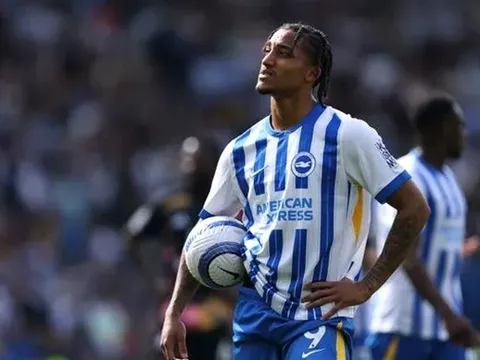 Chelsea và Newcastle tranh chữ ký của Joao Pedro