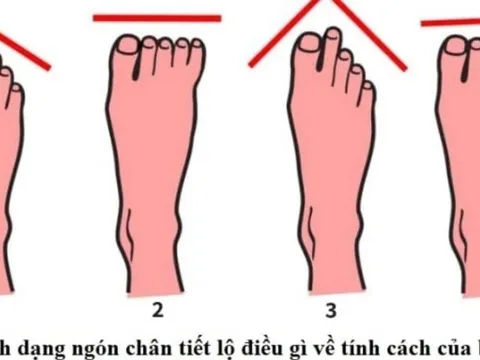 Nhìn chiều dài ngón chân đoán vận mệnh: Giàu sang hay nghèo khó đều hiện rõ