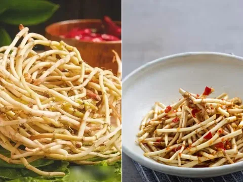 Rễ cây diếp cá là 'thuốc quý' mang lại lợi ích tuyệt vời, nhiều người không nên đem bỏ đi