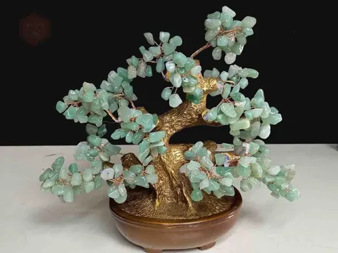 Đặt Cây Tài Lộc đúng phong thủy, tiền tài, may mắn, sự sung túc và thịnh vượng sẽ chảy vào nhanh chóng