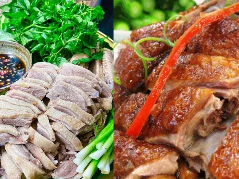 Tại sao người xưa nói ăn thịt vịt dưỡng sinh mùa hè nhưng có những người nên hạn chế ăn thịt vịt