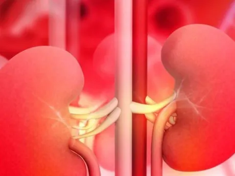 Gia tăng Suy Thận ở Người trẻ, một thói quen cực hại thận mà nhiều người đang mắc