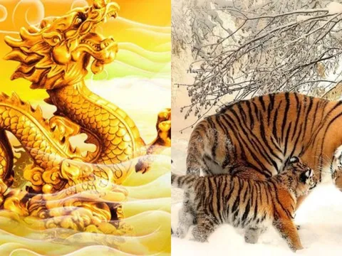 4 con giáp bước vào thời hoàng kim: 90 ngày tới tiền đồ sáng rực, cuối năm làm nên cơ đồ giàu sụ