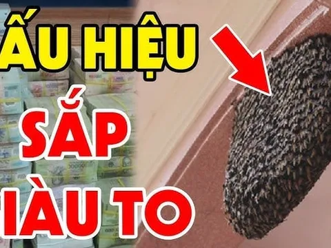 5 con vật vào nhà Điềm Lành Trúng Số: Gia chủ sắp giàu to