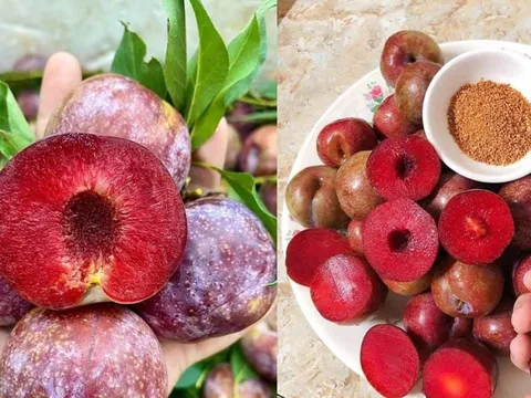 Những người nên hạn chế ăn mận. Cách ăn mận để tốt cho sức khỏe