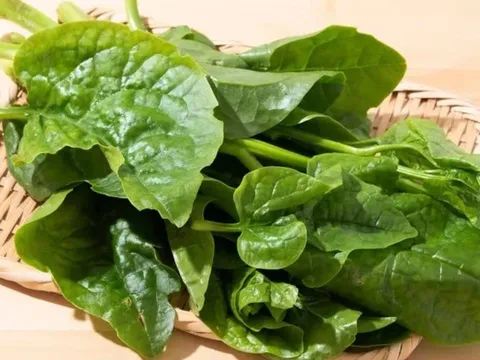 5 loại rau giàu collagen tự nhiên giúp da căng bóng mịn màng, rẻ bèo và dễ mua ở chợ Việt