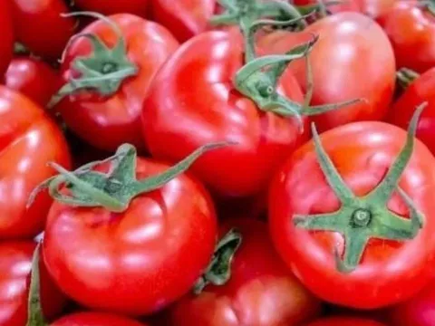 Cà chua đầu nhọn hay đầu tròn tốt hơn? Nông dân lâu năm tiết lộ sự khác biệt không ngờ