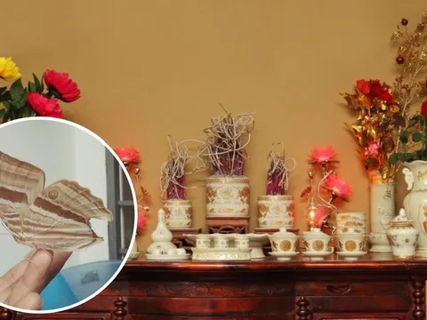 Bàn thờ xuất hiện 2 dấu hiệu này là được Lộc Tổ Tiên, gia đạo hưng thịnh