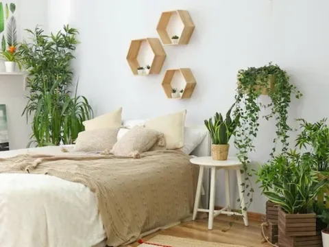 Không nên đặt 3 đồ vật này trong phòng ngủ, kẻo mất tài lộc và khiến sức khỏe đi xuống