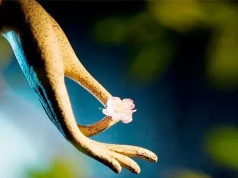 Con đường duy nhất để cải biến vận mệnh là hành thiện tích đức, cải biến nhân tâm