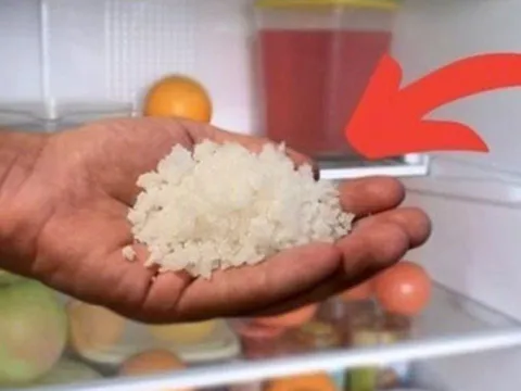 Đặt 1 nắm muối vào tủ lạnh: Công dụng "vàng" nhà nào cũng rất cần