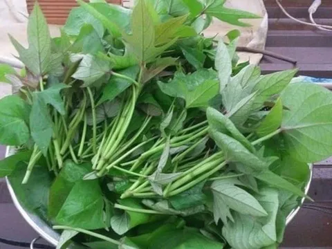 Đi chợ thấy 8 loại rau này thì đừng bỏ qua: Rau sạch, bổ dưỡng, ít nguy cơ tồn dư thuốc