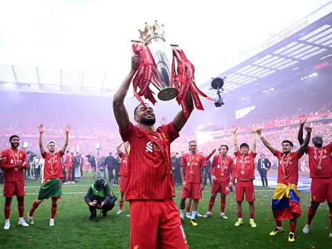 Chân dung Cody Gakpo - Hành trình đến Liverpool của tôi