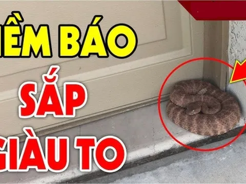 3 con vật này vào nhà ai cũng sợ: Điềm báo Trúng Số Phát Tài, đừng dại đuổi đi