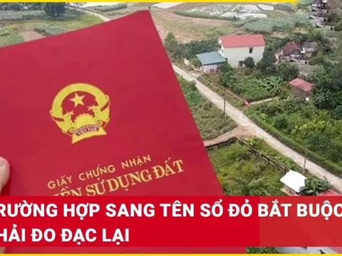 Kể từ 1/8/2025: Sang tên sổ đỏ bắt buộc phải đo đạc lại đất, đúng không?