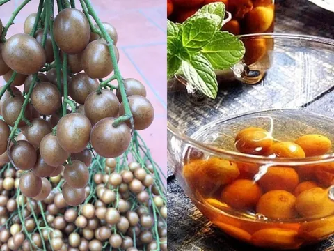 Loại quả giá vài nghìn đồng đang vào màu được ví như nhân sâm của người nghèo, tốt như tiên dược