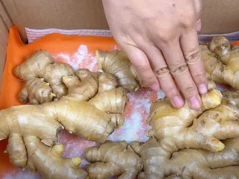 Mẹo bảo quản gừng cực đơn giản, để cả năm vẫn tươi, không khô hỏng không thối