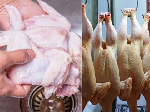 Nhiều người đang rửa thịt gà theo cách này, một sai lầm tai hại mà ít người chú ý