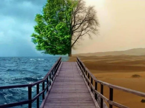 Tổ tiên dạy: Muốn biết lòng người sâu cạn, chỉ cần nhìn kỹ 2 điểm này là đủ