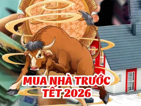 3 con giáp Hợp Vía thần Tài, tuổi 40 No Lộc, tuổi 50 cứ thế mà giàu