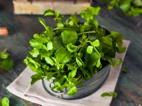 Loại rau trồng 1 lần ăn chục năm, canxi gấp đôi sữa bò, trẻ ăn vào cao lớn trông thấy