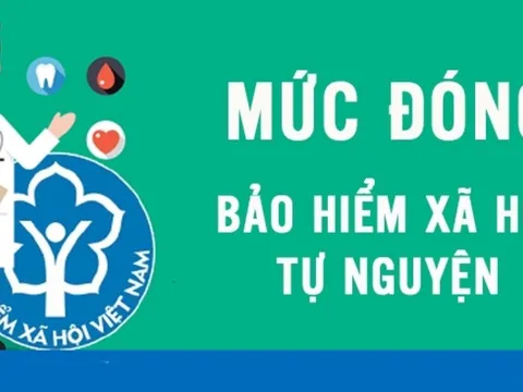 Nhà nước hỗ trợ mức đóng bảo hiểm xã hội tự nguyện từ tháng 7/2025 là bao nhiêu?
