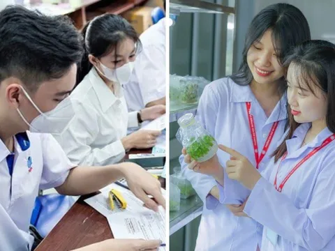 Ngành học được miễn phí 100% năm 2025, có ngành được trợ cấp 3,63 triệu đồng/tháng: Ai đỗ đạt thật đáng mừng