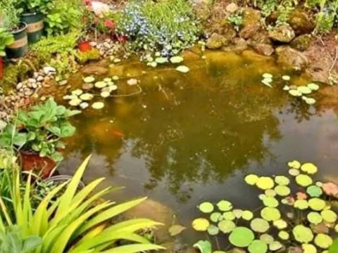 4 lỗi đại kỵ trước nhà khiến gia chủ dễ bệnh tật, hao tài tán lộc mà nhiều người vô tình mắc phải