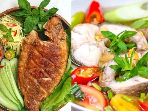 Ăn cá đúng cách: Những thực phẩm tuyệt đối không nên kết hợp cùng cá để tránh gây hại sức khỏe