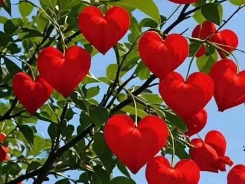  Bố mẹ chồng tốt 10 phần không bằng chồng tốt 5 phần