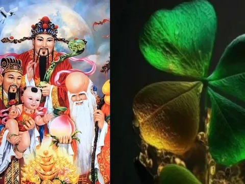3 con giáp trẻ thì ốm yếu làm cha mẹ vất vả nhưng lớn lên khỏe mạnh giàu có, hiếu thảo phúc đầy nhà