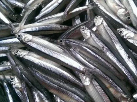 7 loại cá nên mua ngay khi đi chợ: bổ hơn cả nhân sâm, sạch không hóa chất, giá cực rẻ