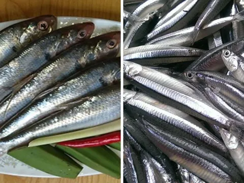 7 loại cá vừa rẻ vừa sạch, bổ như nhân sâm: Đi chợ thấy nên mua ngay