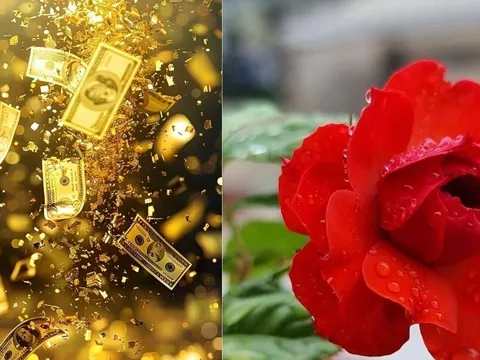 Chủ Nhật Vàng Son: 3 Cung Hoàng Đạo Tình Tiền Cực Đỏ, Vận May Gõ Cửa Từ Sáng Sớm