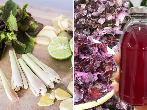 Nấu nước lá tía tô thêm chanh, gừng, sả: Cơ thể nhận được 6 lợi ích tuyệt vời, ai cũng cần