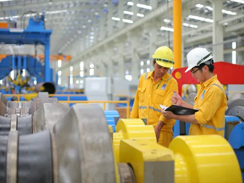Ngành học 'vàng' tại Việt Nam 4 năm liên tiếp lọt Top thế giới, lương 10 số dễ dàng