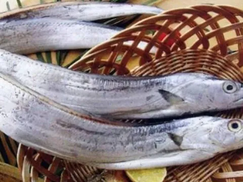 Gặp 5 loại cá này ngoài chợ đừng bỏ lỡ: Ngon, bổ, sạch, bắt tự nhiên 100%
